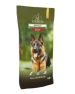 Adult Dog All Breeds Beef